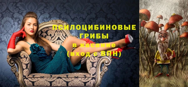 спайс Дмитриев