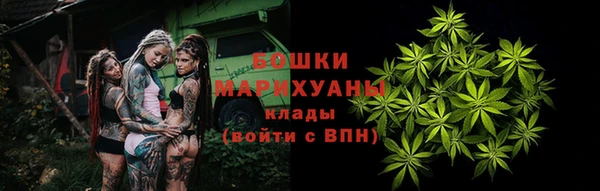 винт Дмитров