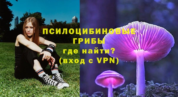 jwh Ельня