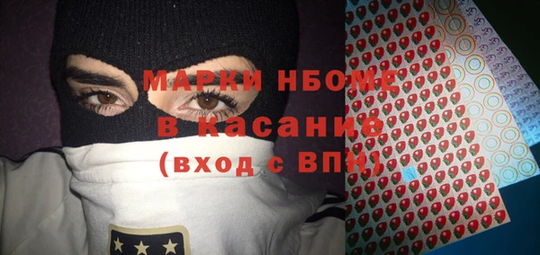 гашик Елизово