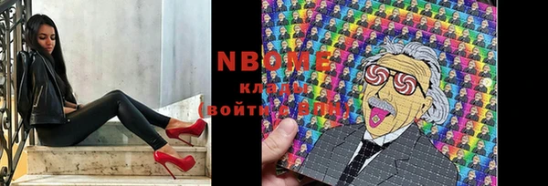 гашик Елизово