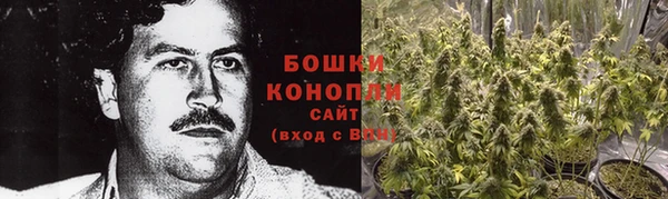 винт Дмитров