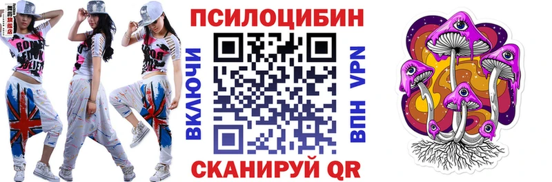 Купить закладки  Щёкино  Галлюциногенные грибы мухоморы 